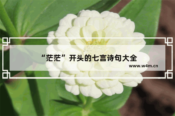 “茫茫”开头的七言诗句大全