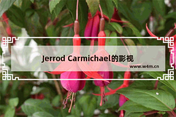 Jerrod Carmichael的影视作品大全