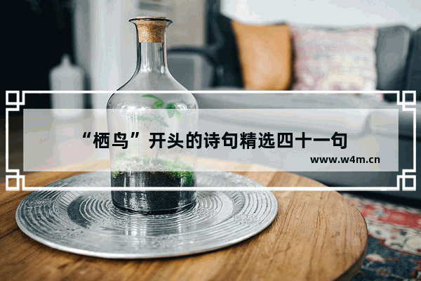 “栖鸟”开头的诗句精选四十一句