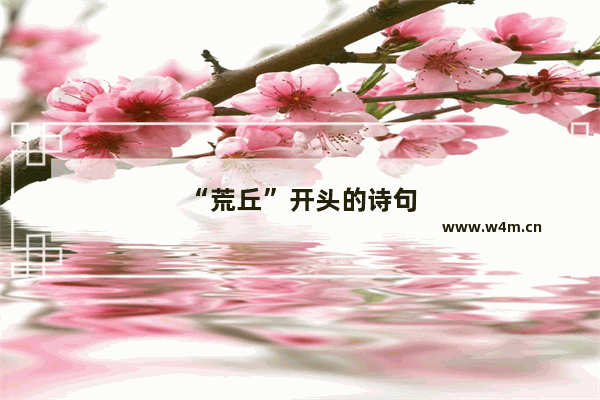 “荒丘”开头的诗句