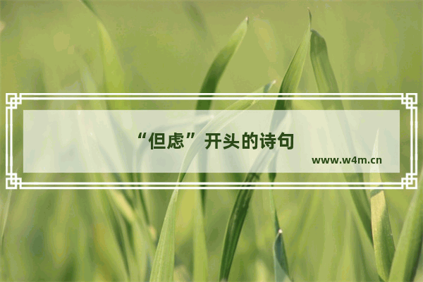 “但虑”开头的诗句