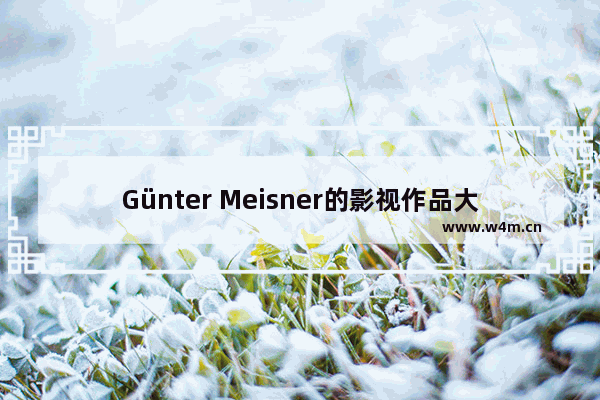 Günter Meisner的影视作品大全