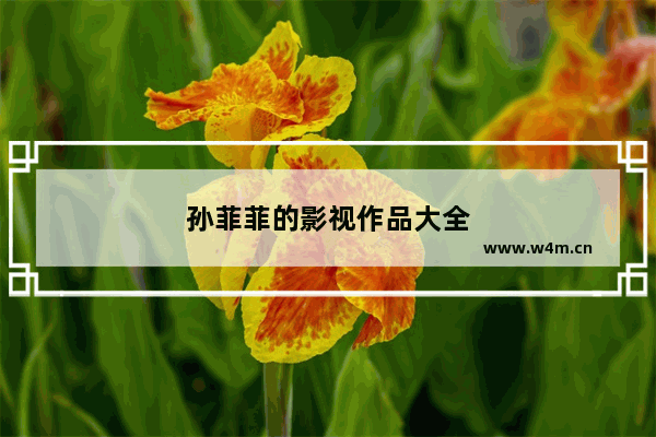 孙菲菲的影视作品大全