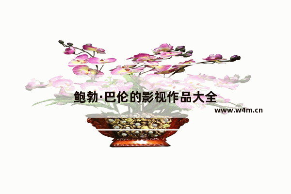 鲍勃·巴伦的影视作品大全