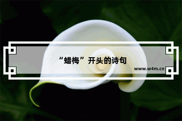 “蜡梅”开头的诗句