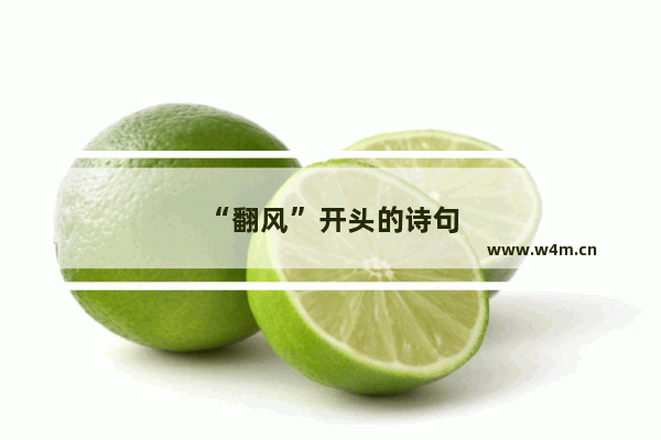 “翻风”开头的诗句