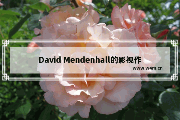 David Mendenhall的影视作品大全