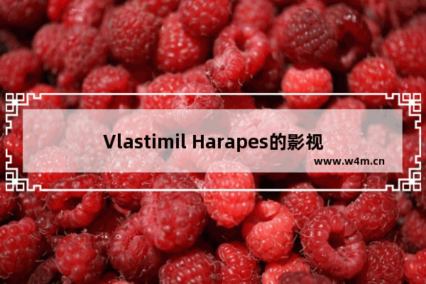 Vlastimil Harapes的影视作品大全