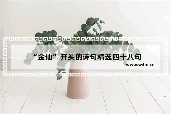 “金仙”开头的诗句精选四十八句