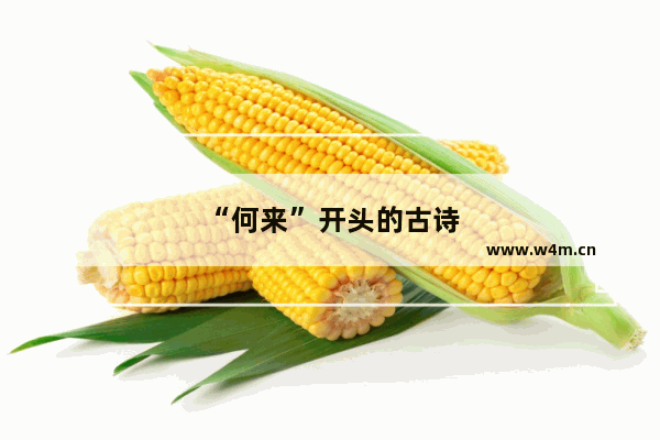 “何来”开头的古诗