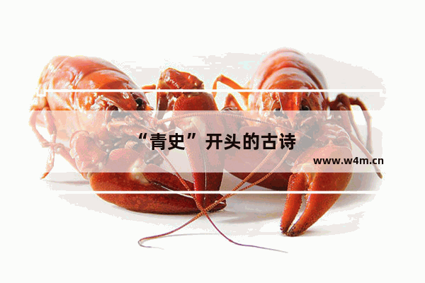 “青史”开头的古诗