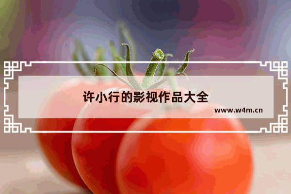 许小行的影视作品大全