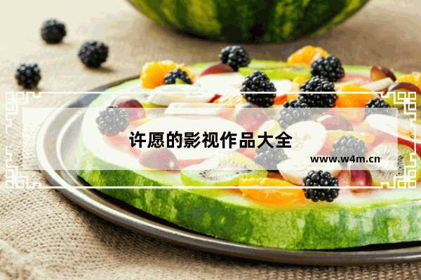 许愿的影视作品大全