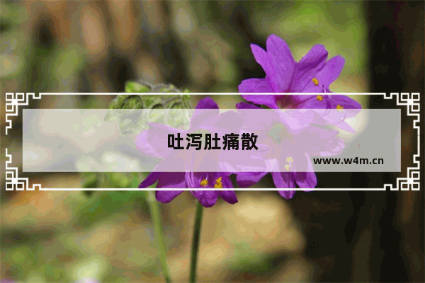 吐泻肚痛散