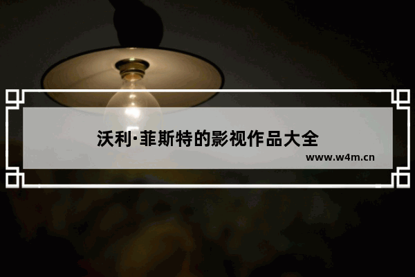 沃利·菲斯特的影视作品大全