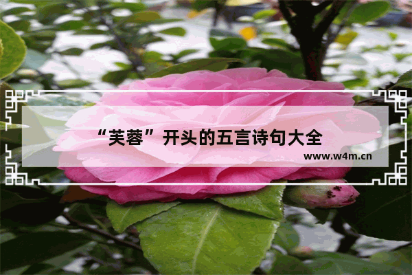 “芙蓉”开头的五言诗句大全