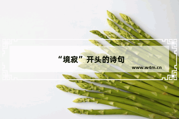 “境寂”开头的诗句