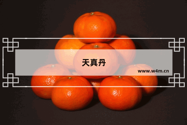 天真丹