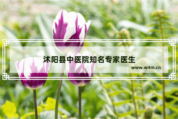 沭阳县中医院知名专家医生