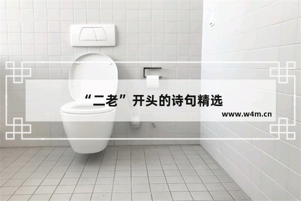 “二老”开头的诗句精选