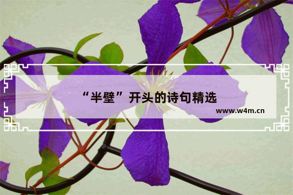 “半壁”开头的诗句精选