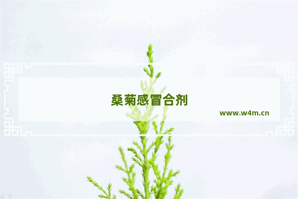 桑菊感冒合剂