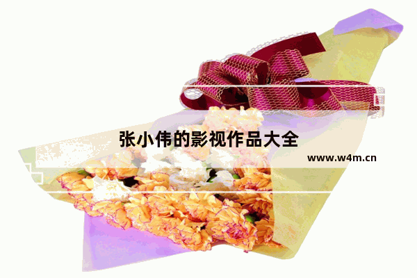 张小伟的影视作品大全