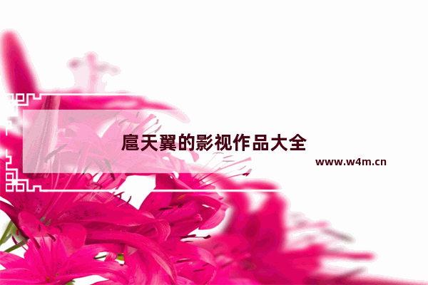 扈天翼的影视作品大全