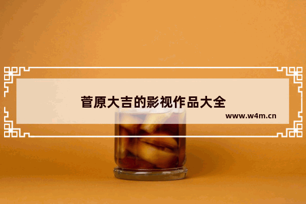 菅原大吉的影视作品大全