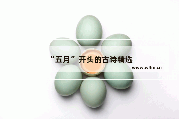 “五月”开头的古诗精选