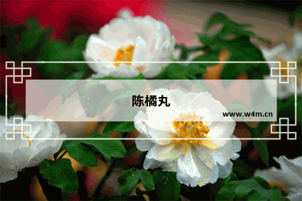 陈橘丸