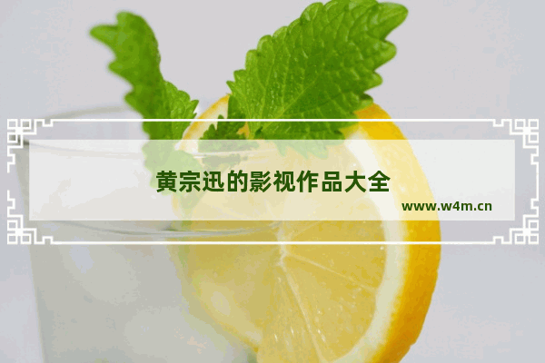 黄宗迅的影视作品大全