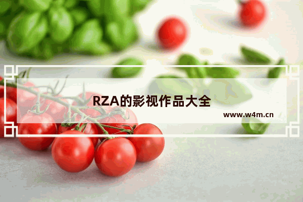 RZA的影视作品大全