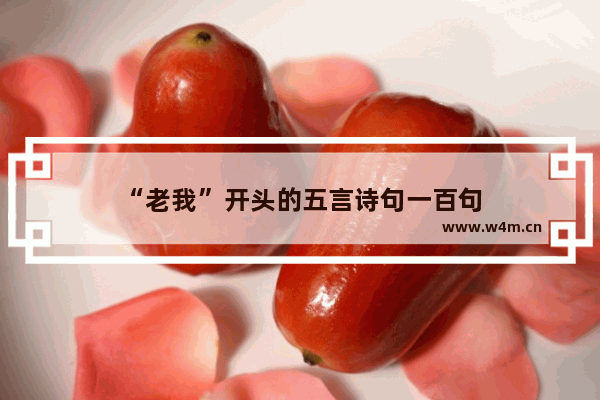 “老我”开头的五言诗句一百句