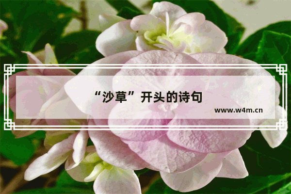 “沙草”开头的诗句