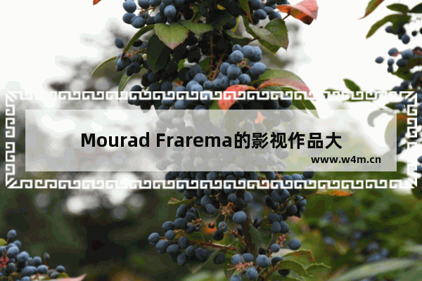 Mourad Frarema的影视作品大全