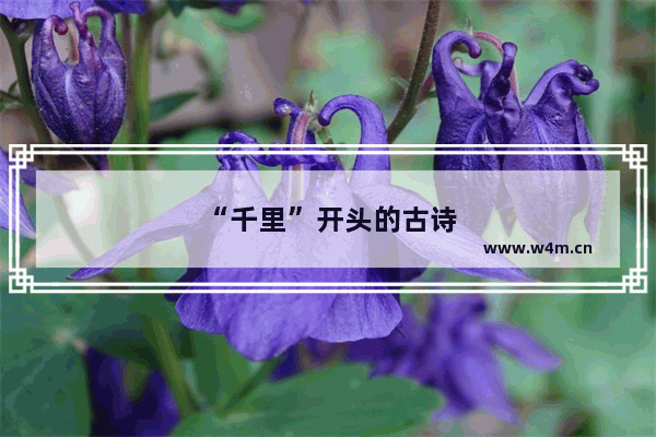 “千里”开头的古诗