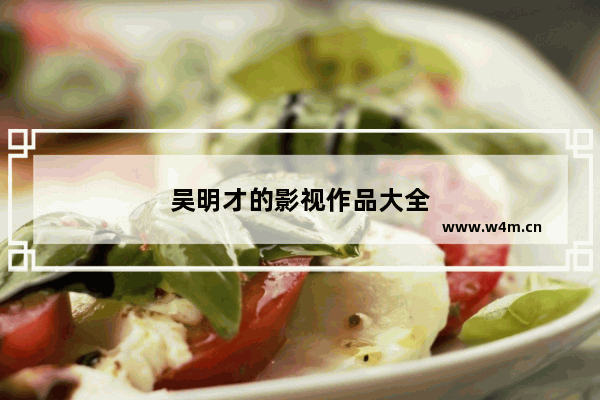 吴明才的影视作品大全