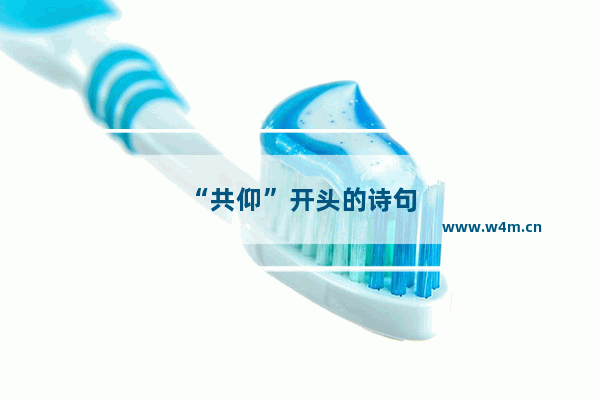 “共仰”开头的诗句