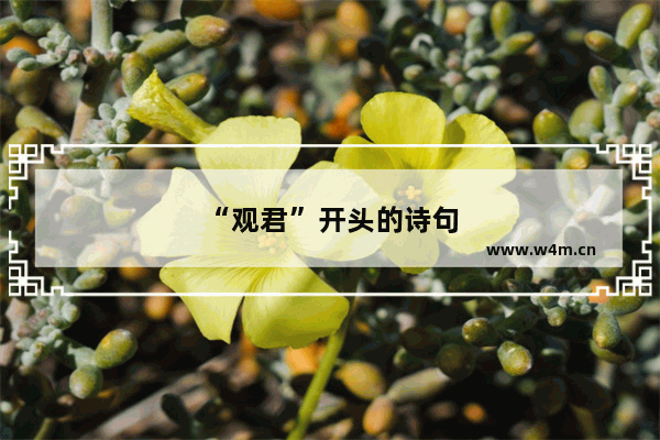 “观君”开头的诗句