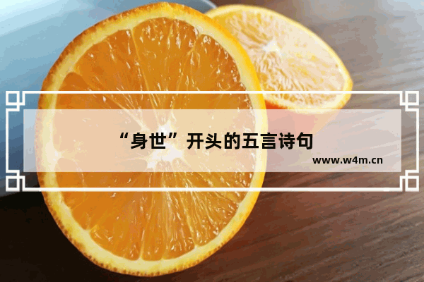 “身世”开头的五言诗句