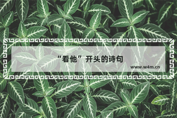 “看他”开头的诗句