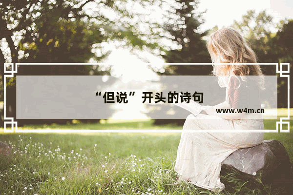 “但说”开头的诗句