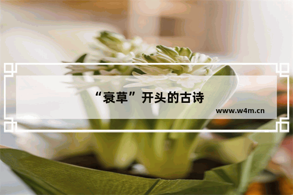 “衰草”开头的古诗