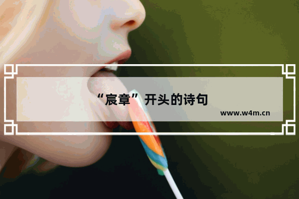 “宸章”开头的诗句