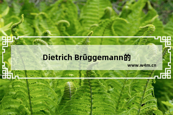 Dietrich Brüggemann的影视作品大全