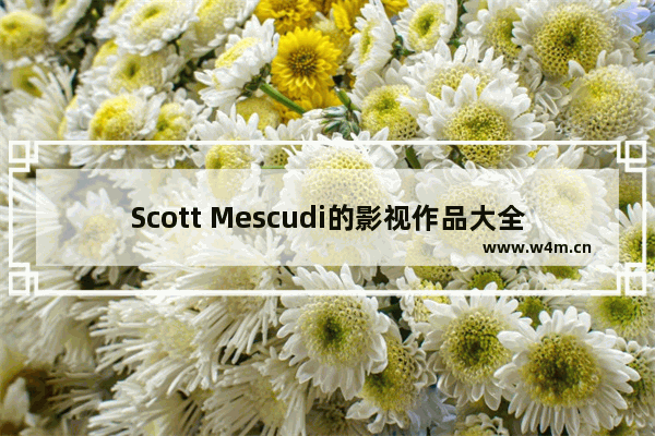 Scott Mescudi的影视作品大全