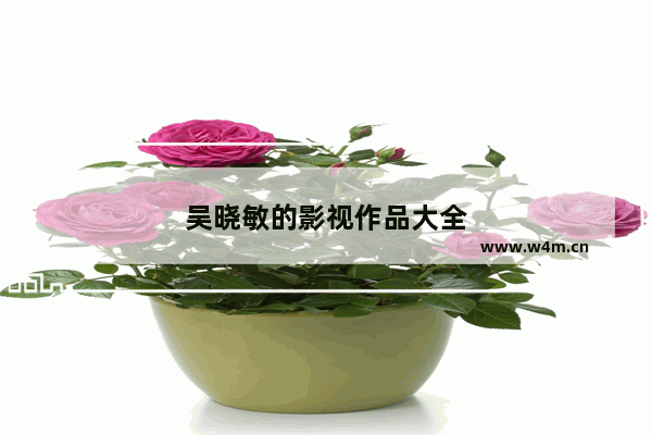 吴晓敏的影视作品大全