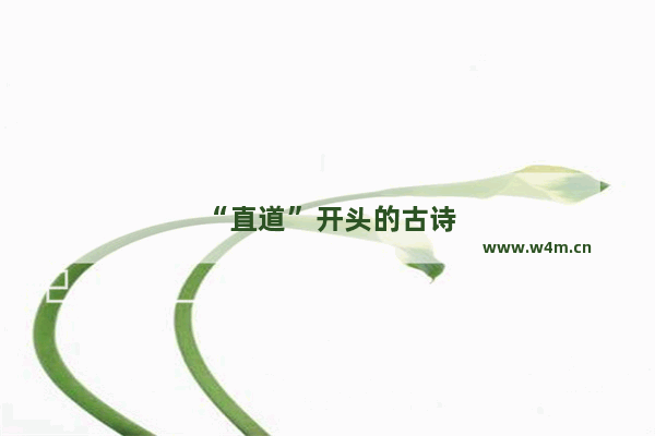 “直道”开头的古诗