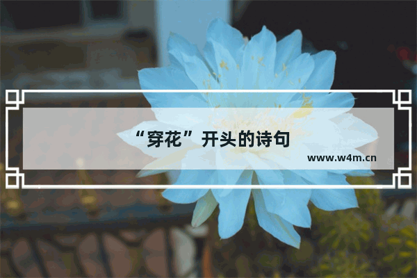 “穿花”开头的诗句